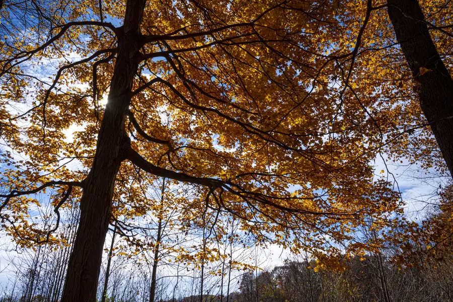 6863 N Nature Lane #Lot 3, La Porte, IN 46350 - #2