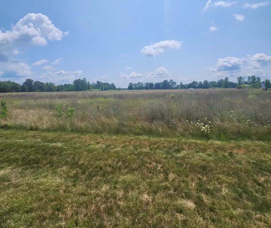 3615 S State Road, Ionia, MI 48846 - Image #3