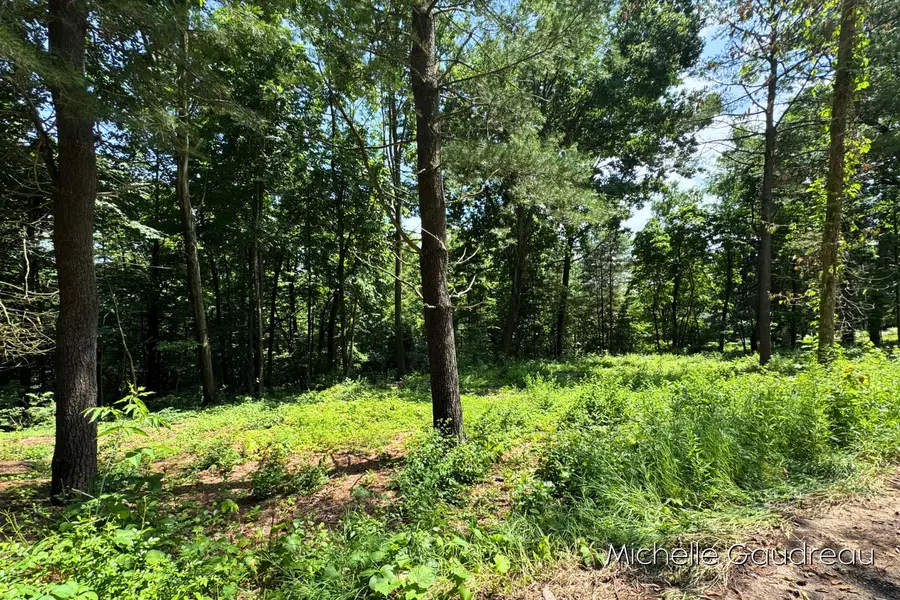 VL W Irving Road, Hastings, MI 49058 - Image #2