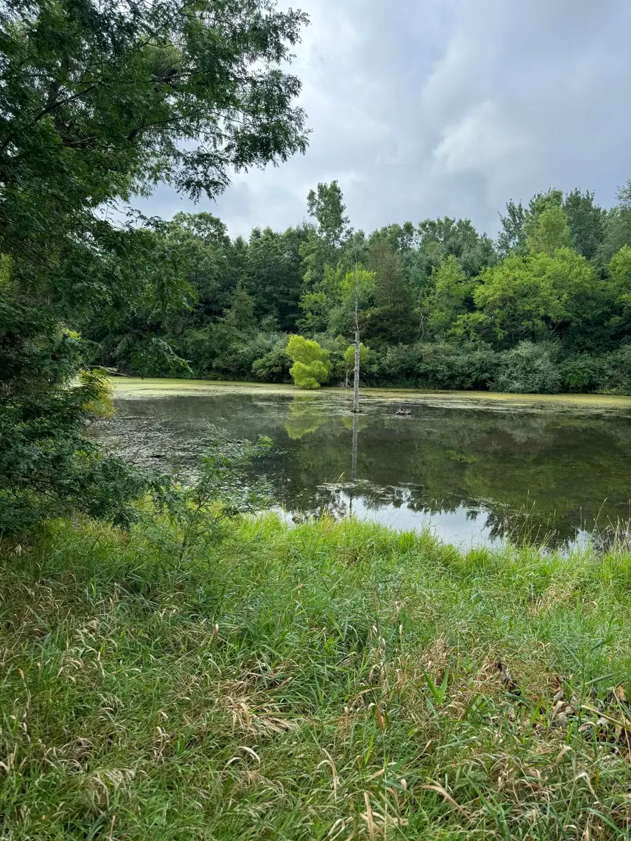 227 Riviera Drive, Brooklyn, MI 49230 - Image #2