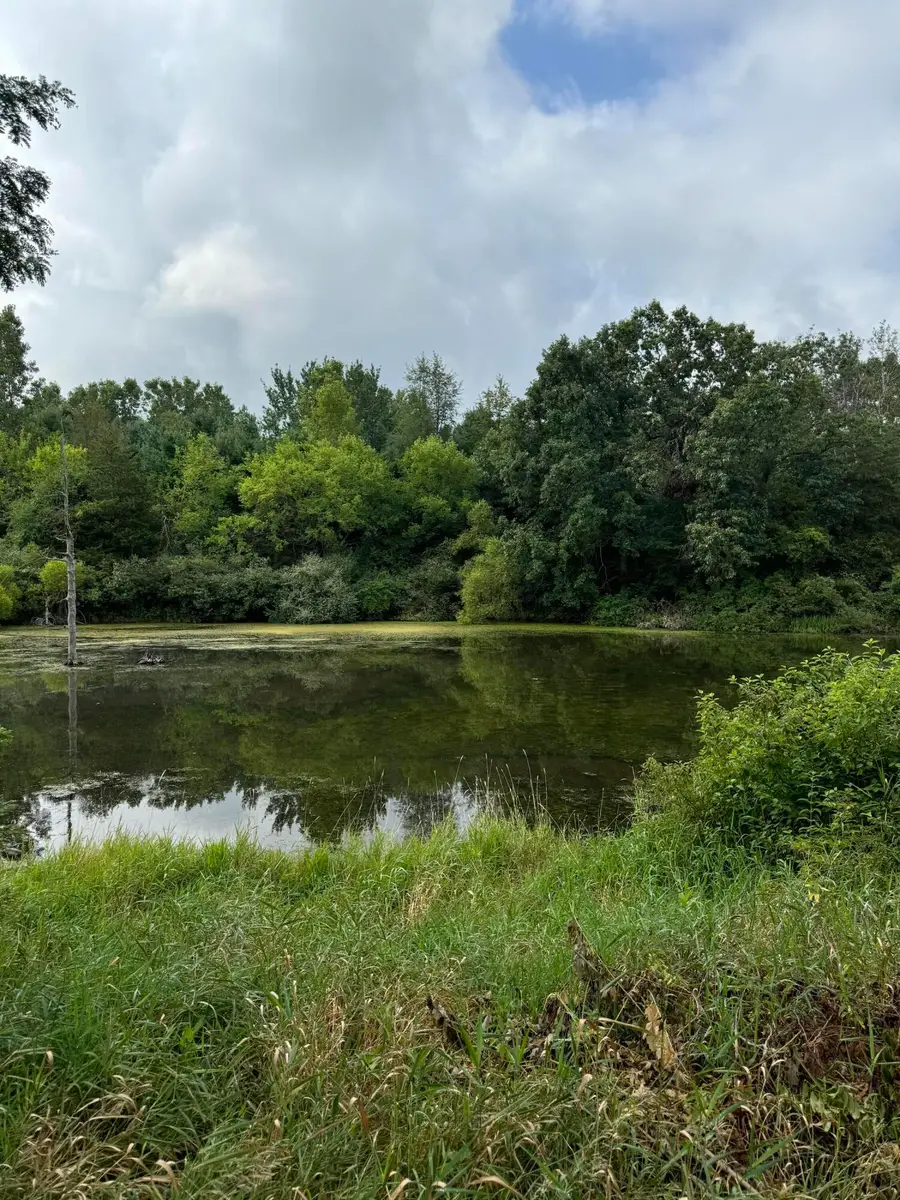 227 Riviera Drive, Brooklyn, MI 49230 - Image #3