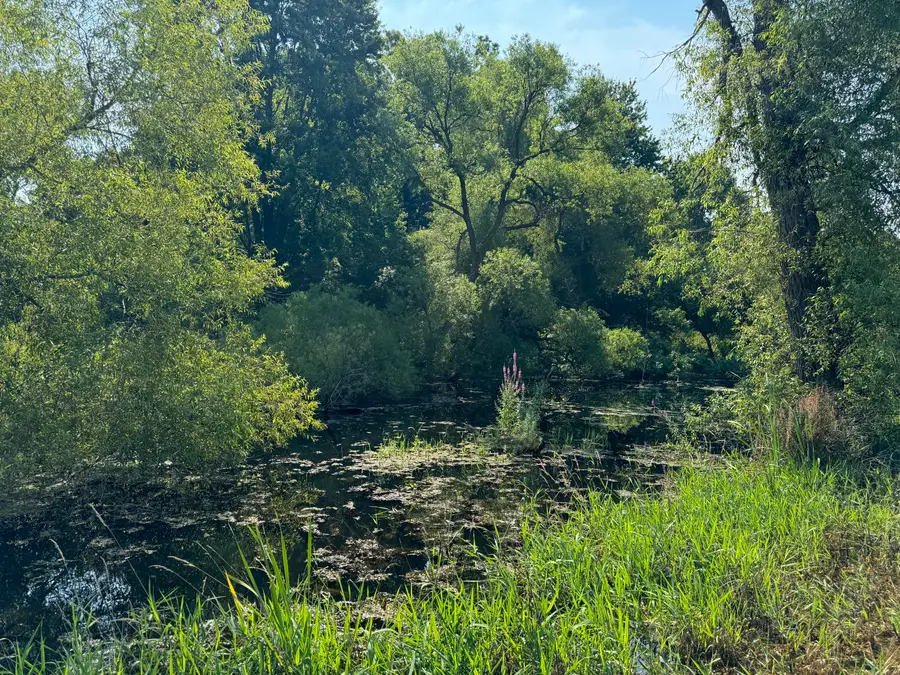 30,40,&50 62nd Street, Decatur, MI 49045 - Image #3