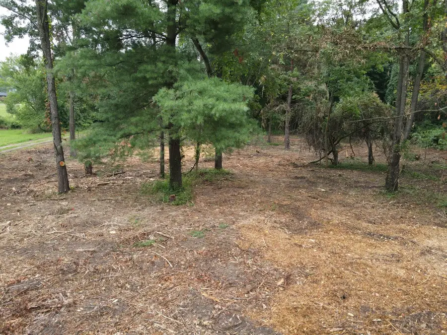 300 Hartford Avenue Sw, Walker, MI 49534 - Image #3