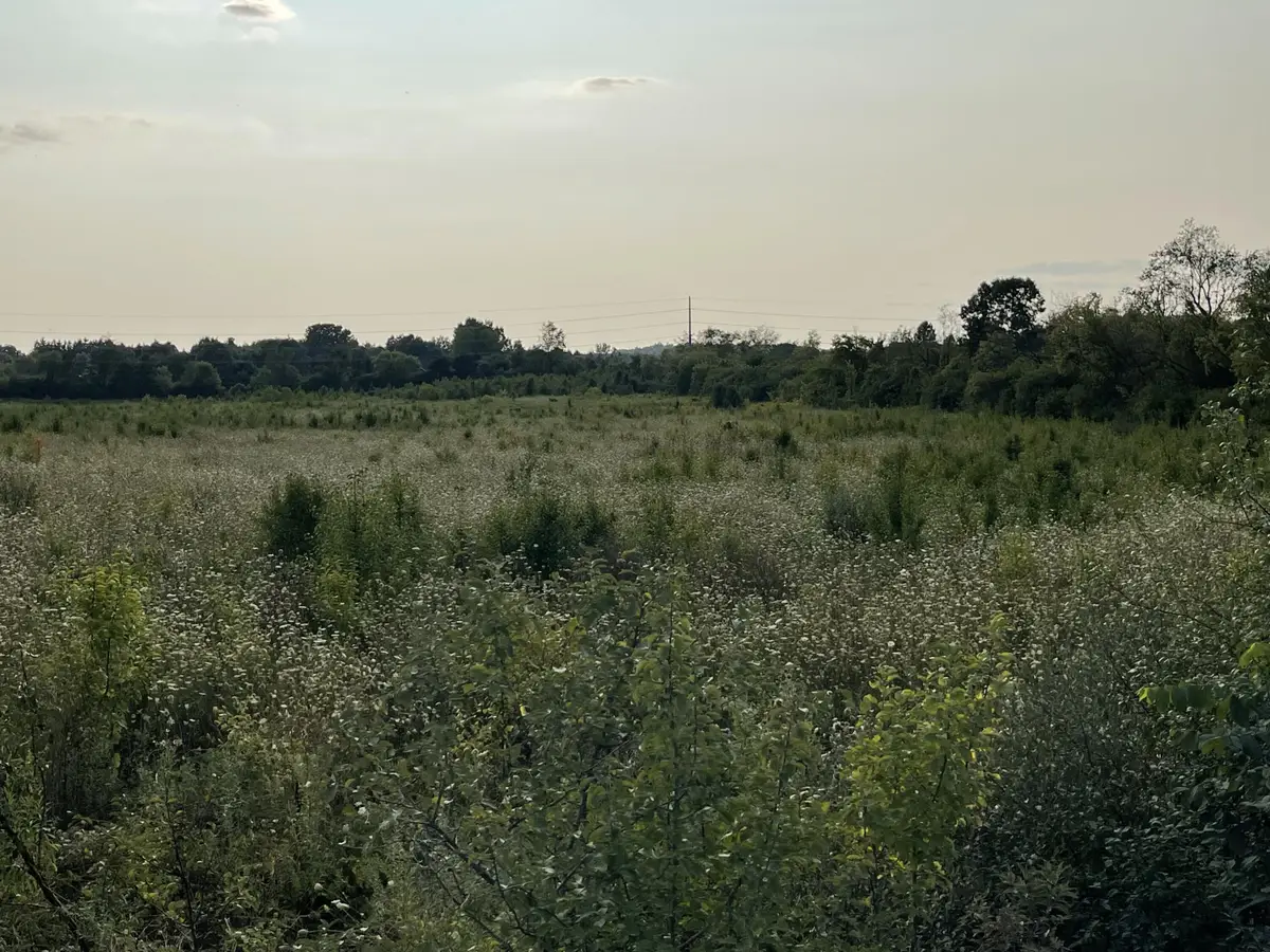 Lot 1 Munger Road, Ypsilanti, MI 48197 - Image #1