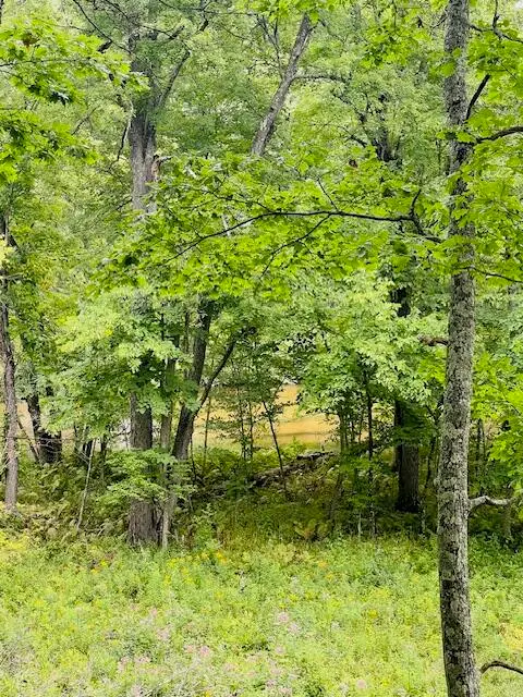 V/L E Winston, Hesperia, MI 49421 - Image #3