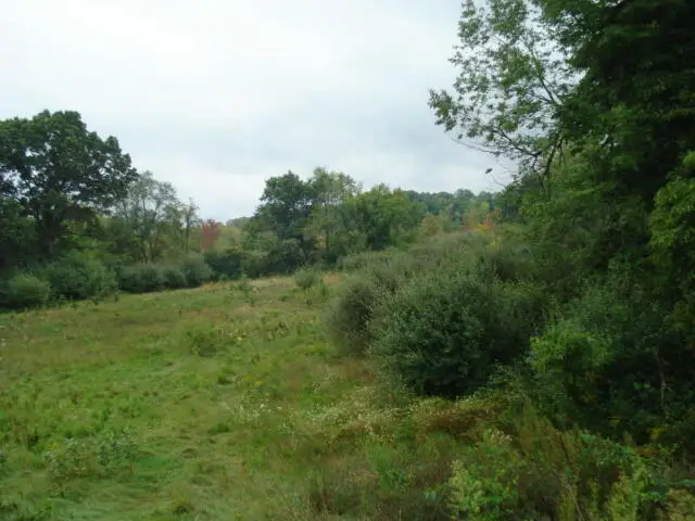 V/l Hawkins Road, Jackson, MI 49201 - Image #1