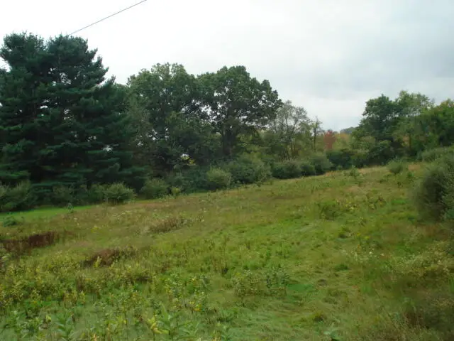 V/l Hawkins Road, Jackson, MI 49201 - Image #2