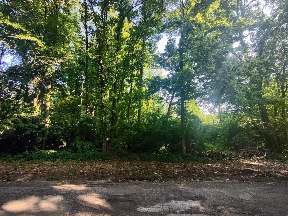 0 Chamberlain Road, Buchanan, MI 49107 - Image #1