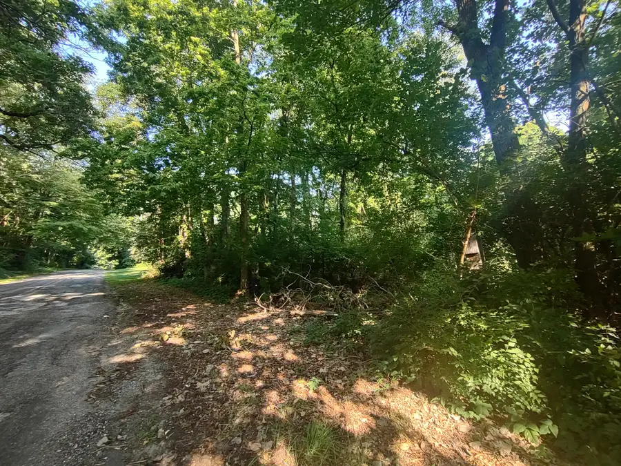 0 Chamberlain Road, Buchanan, MI 49107 - Image #2