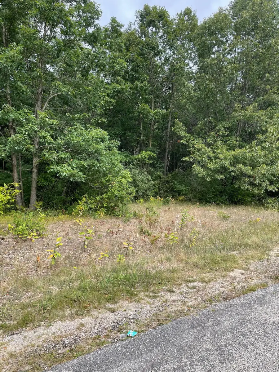 Lot 1 Renaissance Park, Manistee, MI 49660 - Image #2