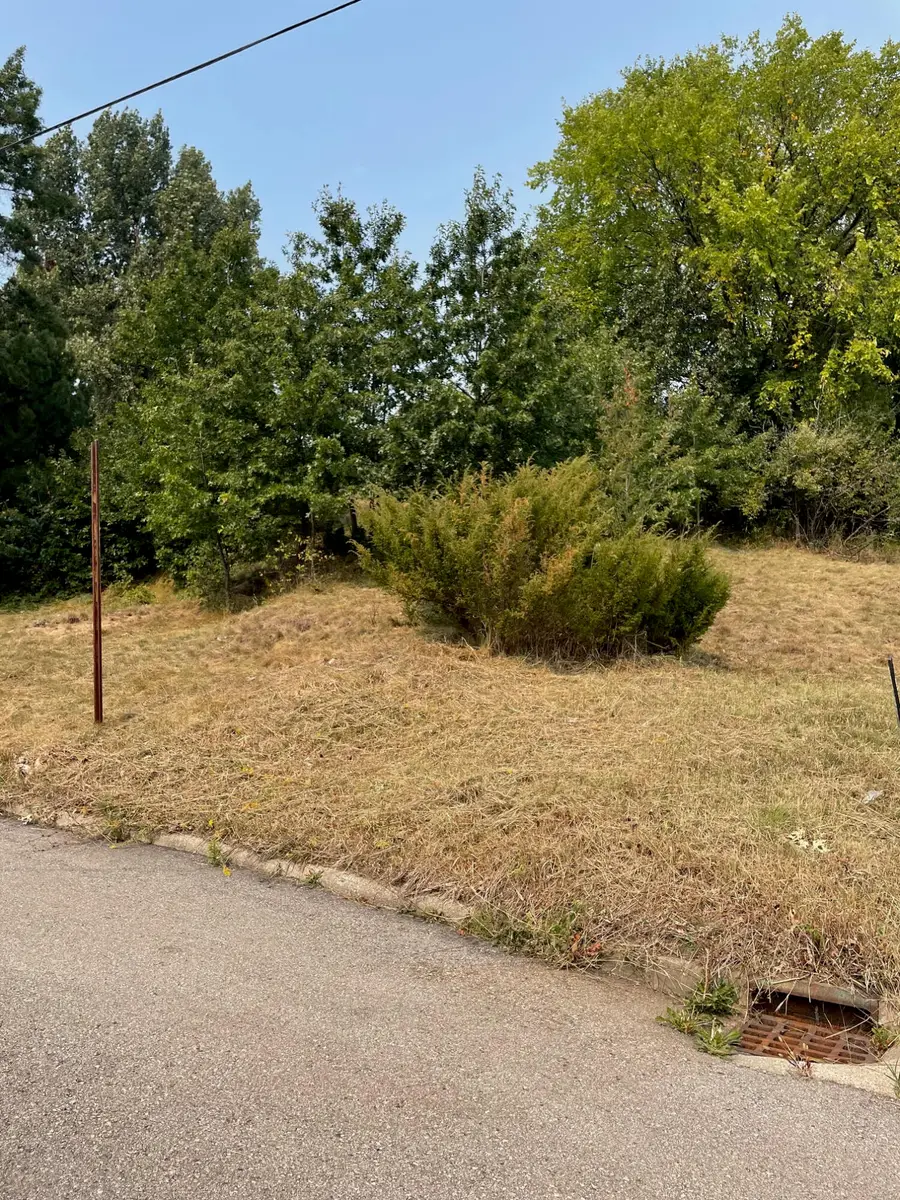 Ninth St, Manistee, MI 49660 - Image #3