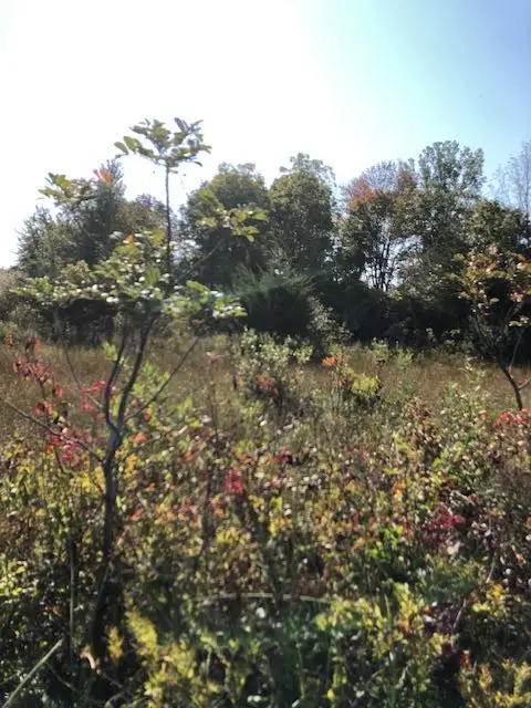 1 Pike Lane, Union, MI 49130 - Image #2