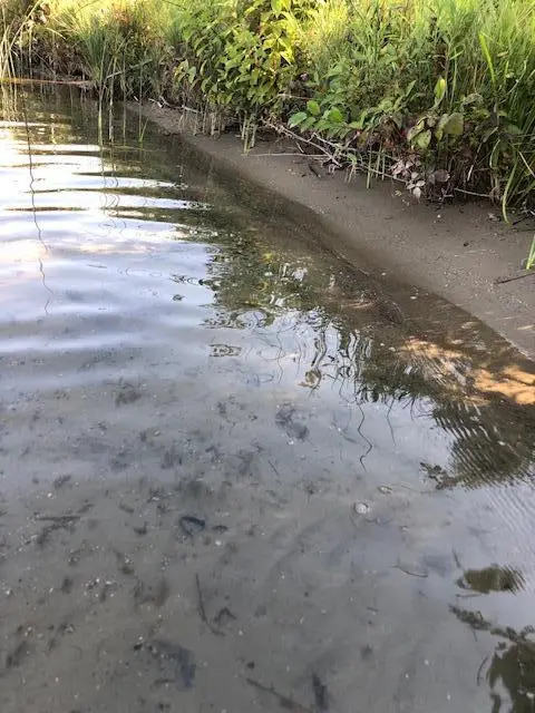 7 Pickeral Avenue, Union, MI 49130 - Image #2