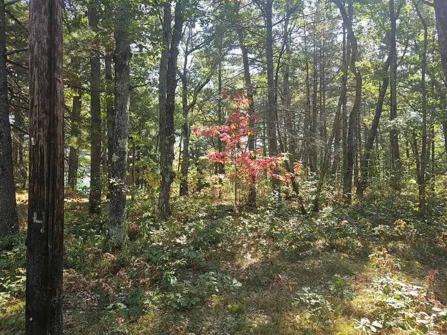 V/L Wilma's Way, Baldwin, MI 49304 - Image #3