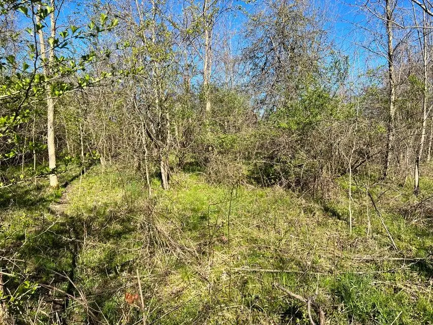 8249 Parcel B M-139, Berrien Springs, MI 49103 - Image #2