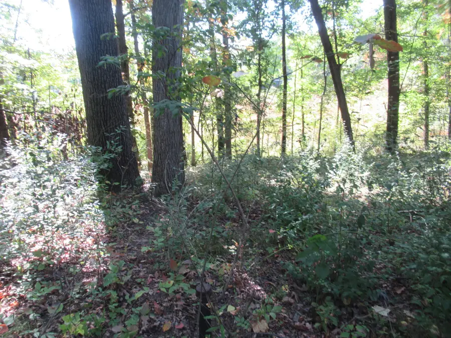 17538 Paradise Lake Road, Vandalia, MI 49095 - Image #2