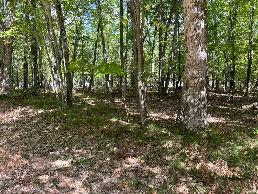 V/L Trail Of The Lakes, Baldwin, MI 49304 - Image #3