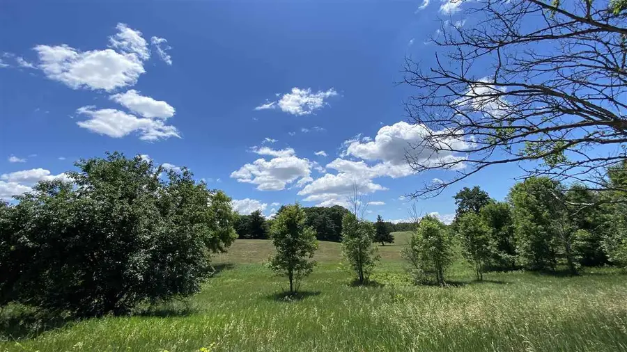 11770 Penlawn Drive, Jerome, MI 49249 - Image #3