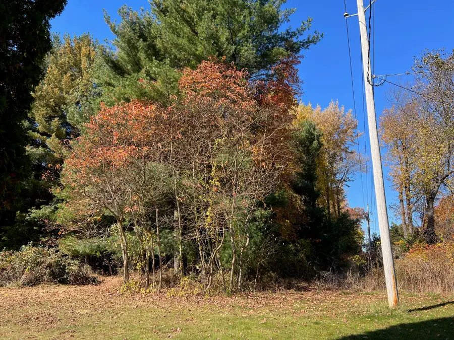 Clinton Road, Jackson, MI 49201 - Image #2