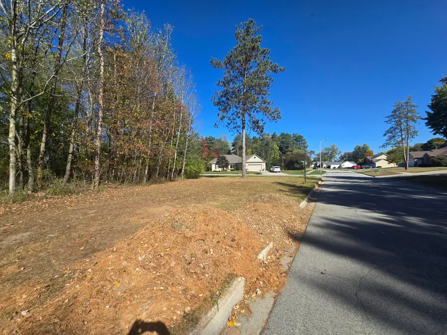 0 V/l Essex, Saint Louis, MI 48880 - Image #2