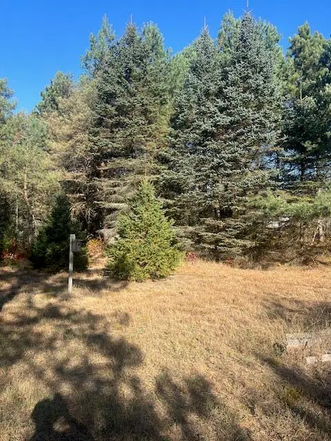 VL C Mckinley Road, Big Rapids, MI 49307