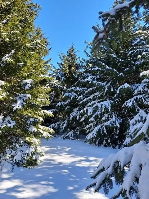 VL C Mckinley Road, Big Rapids, MI 49307 - Image #2