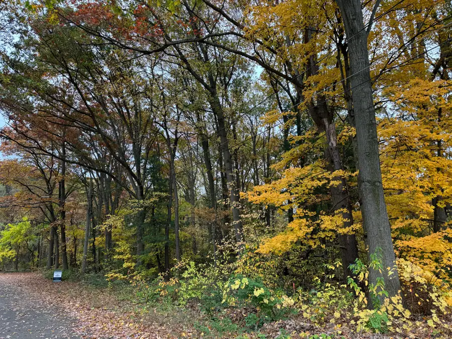 2405 Burke Avenue, Holland, MI 49424 - #2