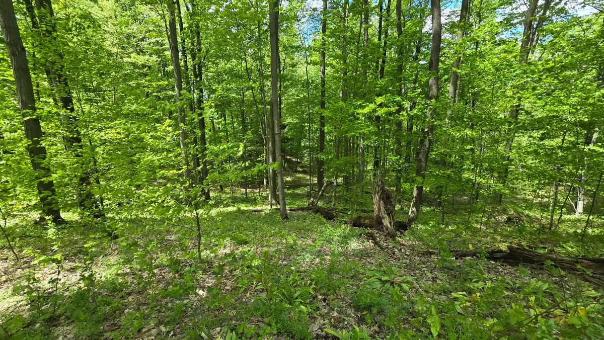 Mcclish Aka Bigge, Copemish, MI 49625 - Image #1