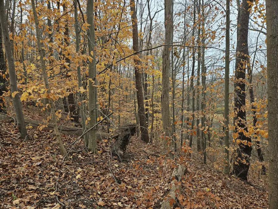 5902 Jefferson Street, Coloma, MI 49038 - Image #3