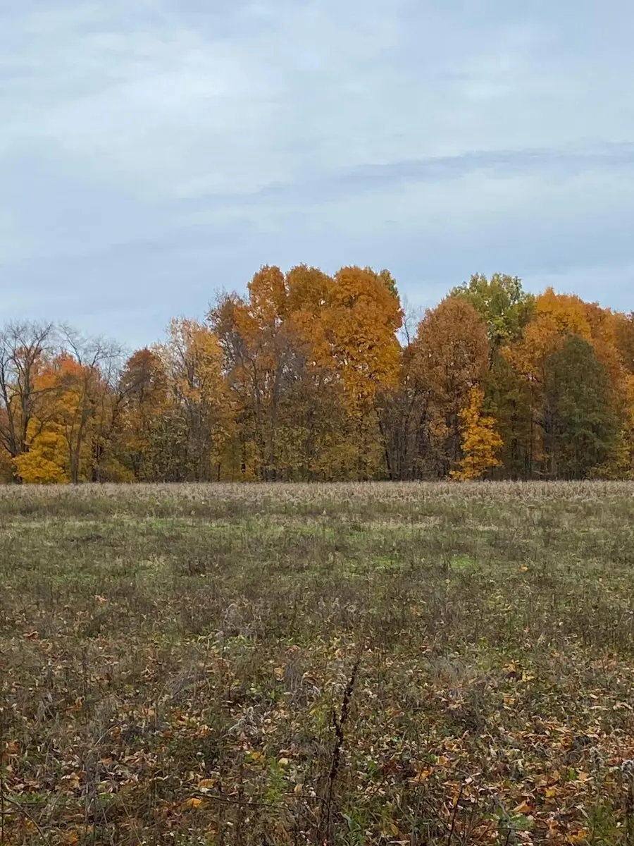 8699 S 29th Street, Scotts, MI 49088 - Image #2