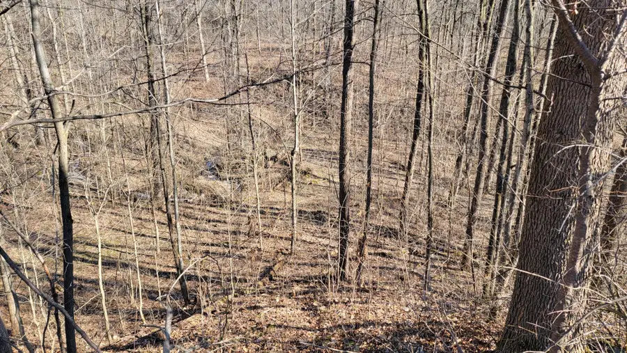 Parcel A Sayles Road, Ionia, MI 48846 - Image #2