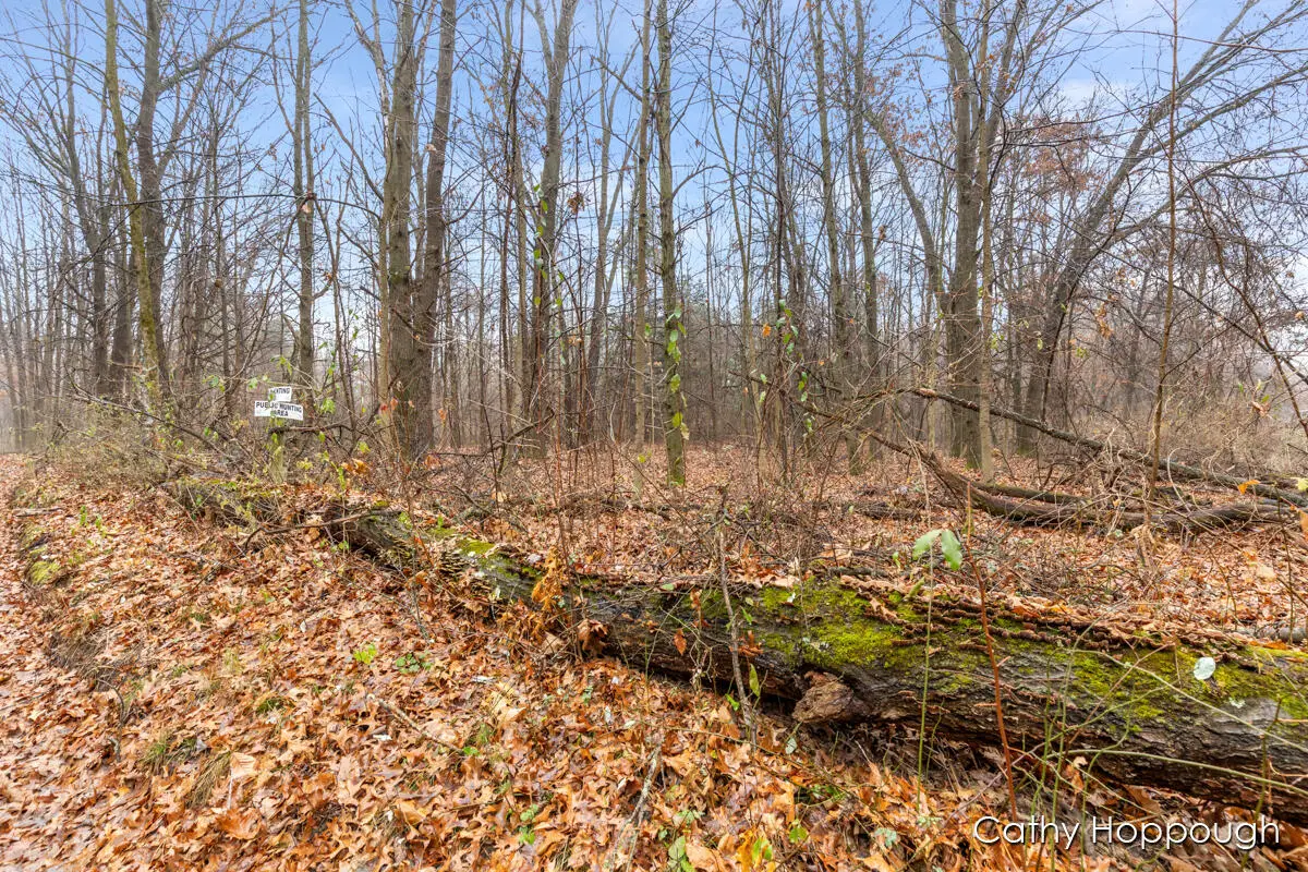 V/L W Snows Lake Road #Parcel 1, Fenwick, MI 48834 - Image #1