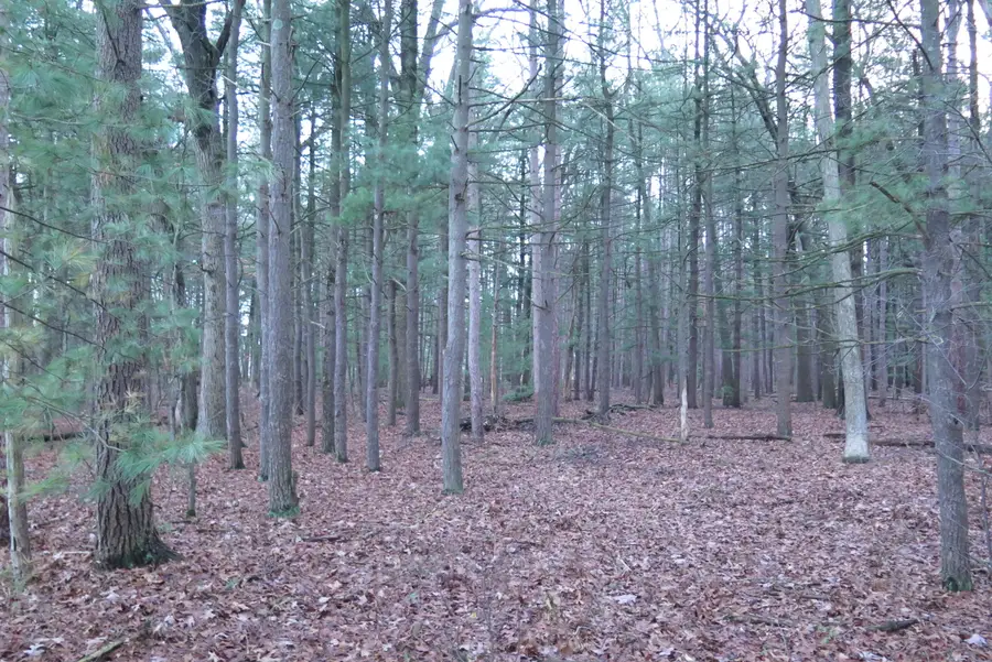 0 E Laketon, Muskegon, MI 49442 - Image #3