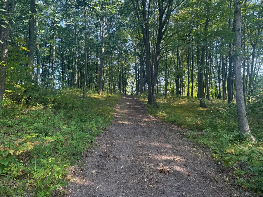 1014 Pueblo Pass, Lake Isabella, MI 48893 - Image #3