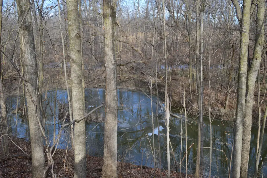 1606 Mooreville Road, Milan, MI 48160 - Image #3