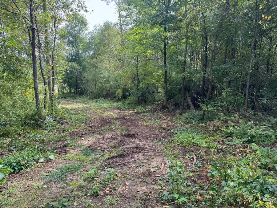 0 Cr-388, Gobles, MI 49055 - Image #2