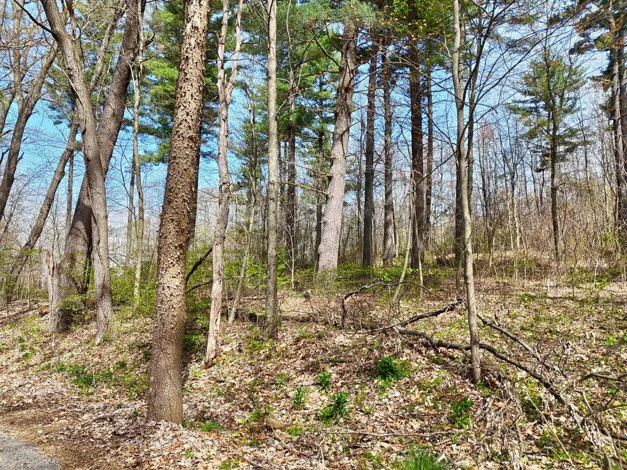 VL Misty Pines, Dowagiac, MI 49047 - Image #2