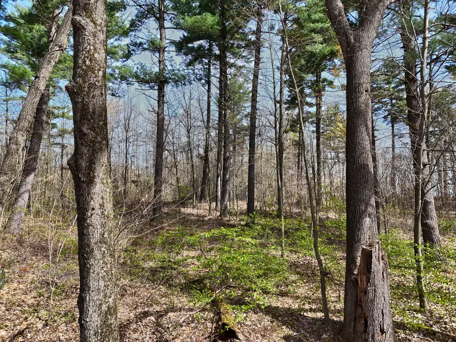 VL Misty Pines, Dowagiac, MI 49047 - Image #3