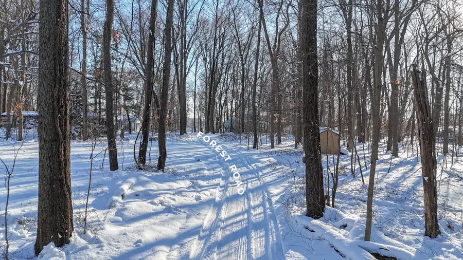 6 Forest Road, Dowagiac, MI 49047 - Image #2