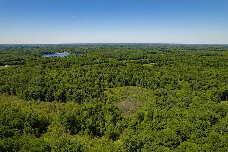 1936 E Clear Lake Road, Buchanan, MI 49107 - Image #2