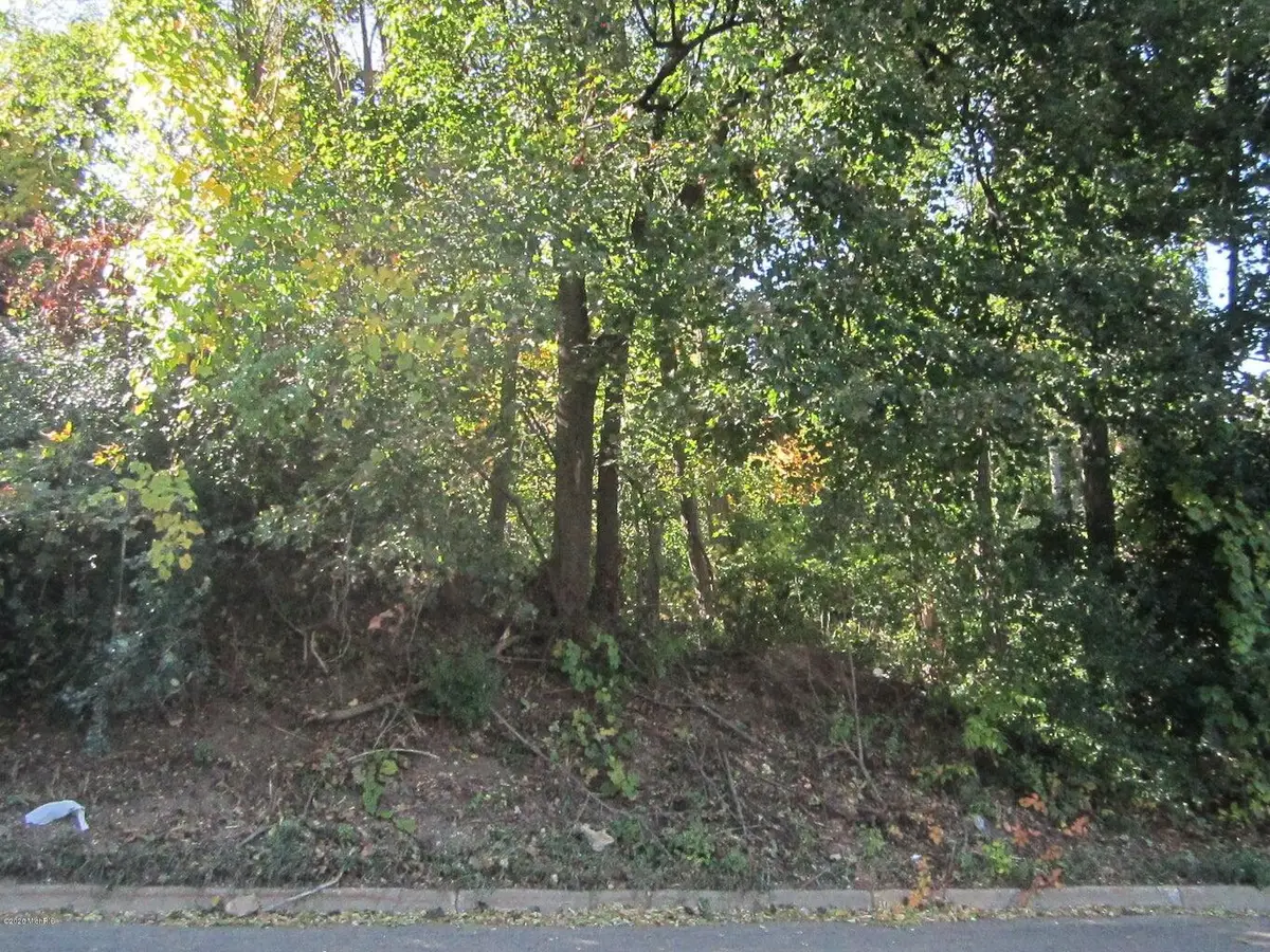 V/L Riverside Drive, Battle Creek, MI 49015 - Image #1