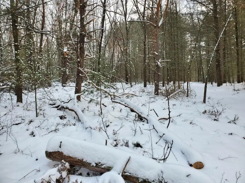 N 0 N Centerline Rd Road, Brohman, MI 49312 - Image #3