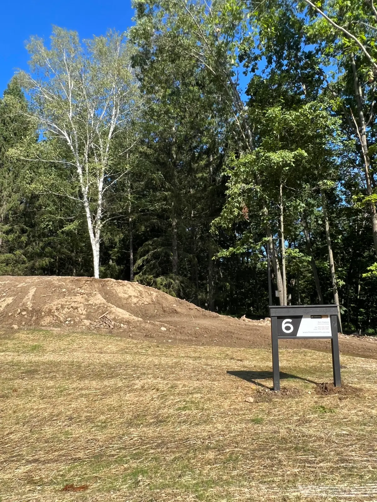 6810 Morrison Hills Court, Dexter, MI 48130 - Image #1