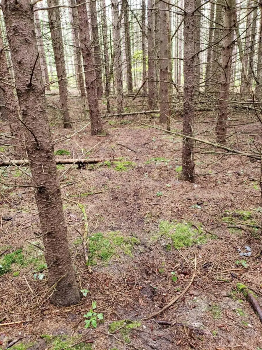 V/L N Lakola Rd. Road, Leroy, MI 49655 - Image #2