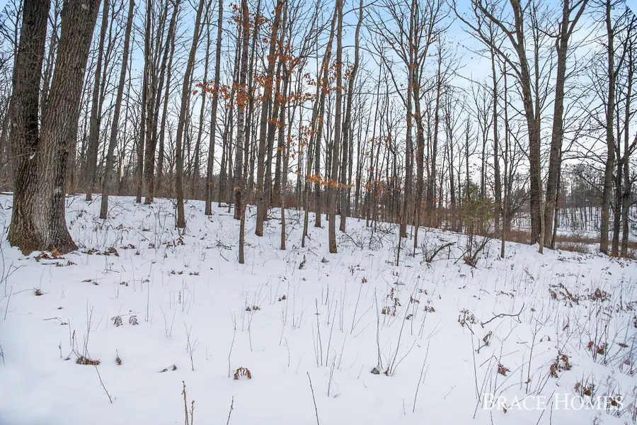 8426 Manitoba Street, Stanwood, MI 49346 - Image #3