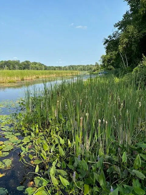 7908 Park Avenue, Rodney, MI 49342 - Image #2