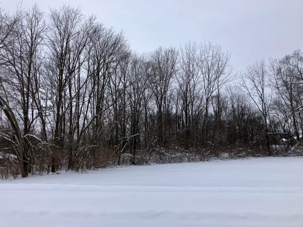 400 S Lowe Street, Dowagiac, MI 49047