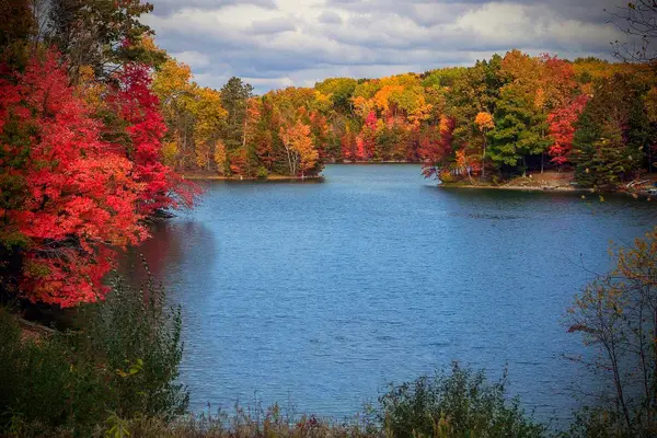 11490 Alpine Road #43, Canadian Lakes, MI 49346