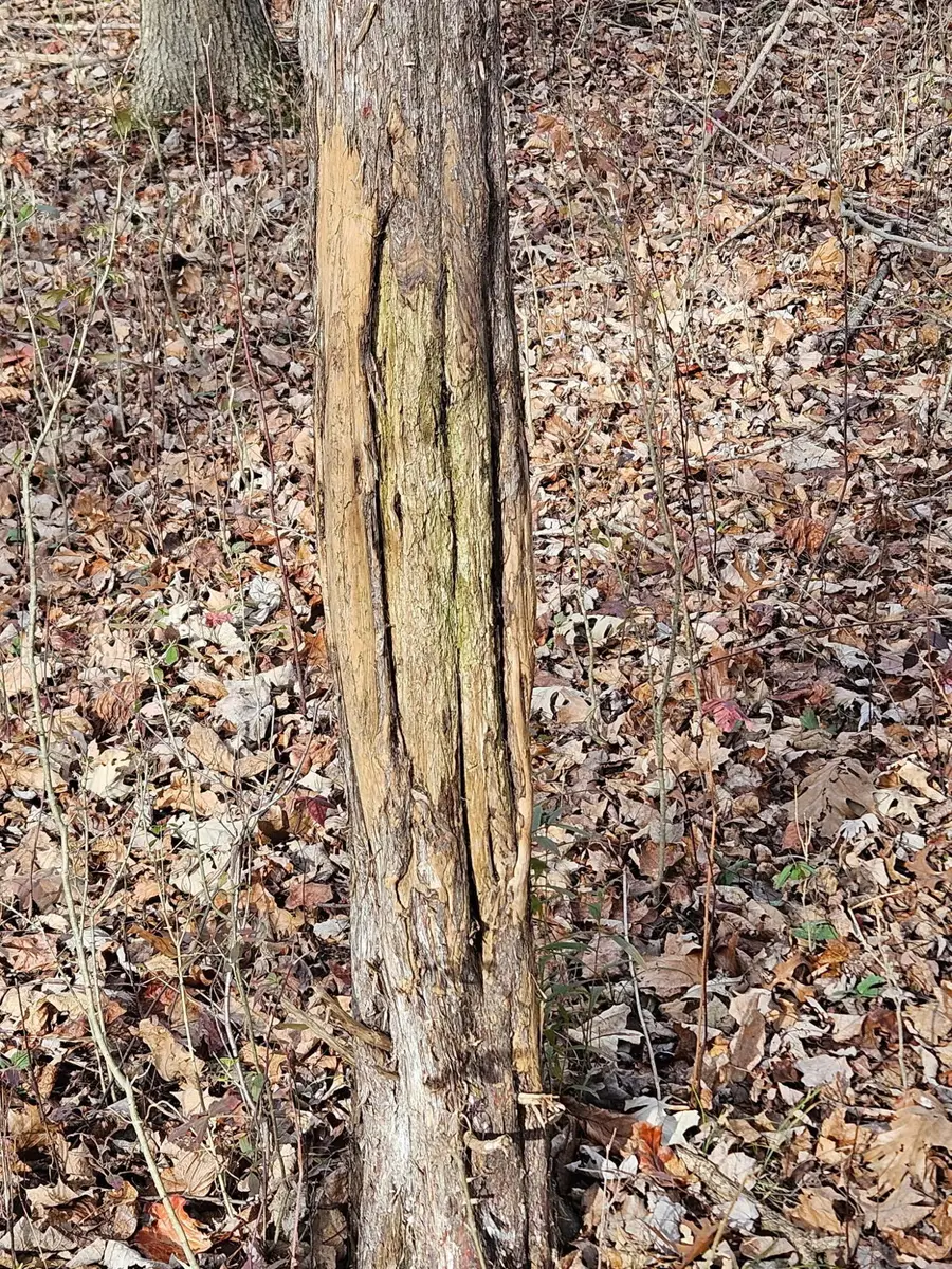 V/L E L Avenue, Kalamazoo, MI 49048 - Image #3