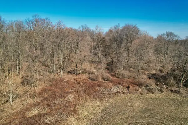 Track 4 W Us 12 Hwy Trail, Buchanan, MI 49107